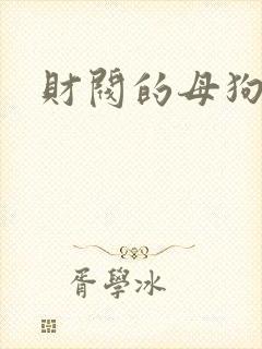 财阀的母狗们