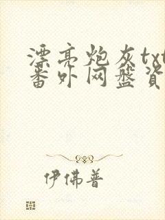 漂亮炮灰txt番外网盘资源