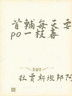 首辅每天要不够po一枝春封面