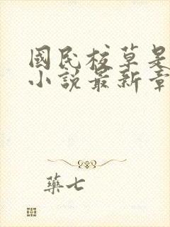 国民校草是女生小说最新章节阅读