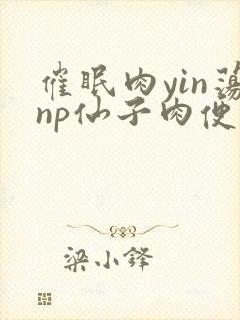 催眠肉yin荡np仙子肉便调教