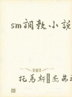 sm调教小说虐