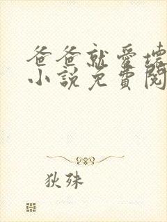 爸爸就爱坏爸爸小说免费阅读全文