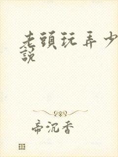 老头玩弄少妇小说