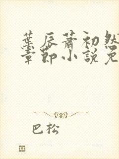 叶辰萧初然最新章节小说免费阅读