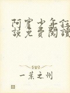 阿宾少年钰慧小说免费阅读笔趣阁封面