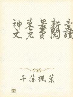 神墓最新章节全文免费阅读无弹窗