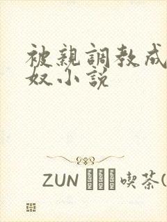 被亲调教成她的奴小说