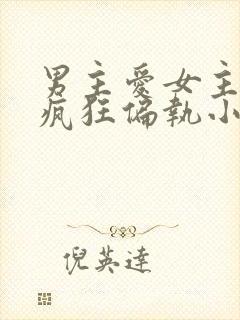 男主爱女主爱到疯狂偏执小说封面