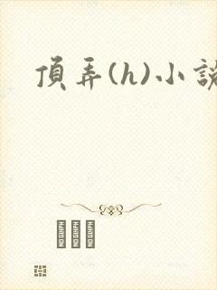 顶弄(h)小说封面