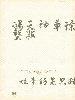 鸿天神尊徐年完整版