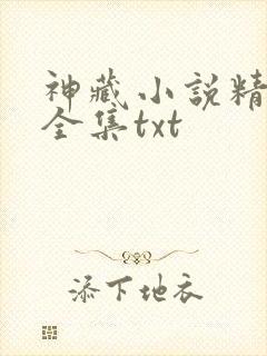 神藏小说精校版全集txt