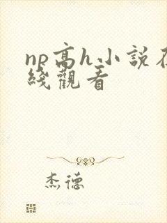 np高h小说在线观看