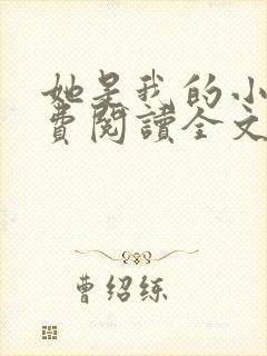 她是我的小说免费阅读全文封面