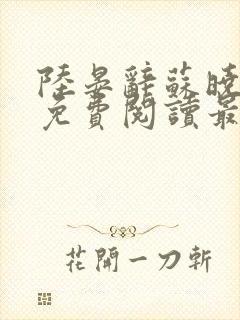 陆晏辞苏晓小说免费阅读最新章节