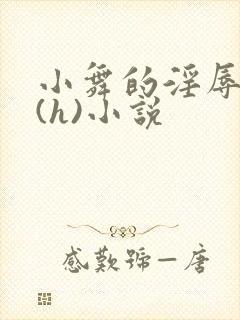 小舞的淫辱日记(h)小说封面