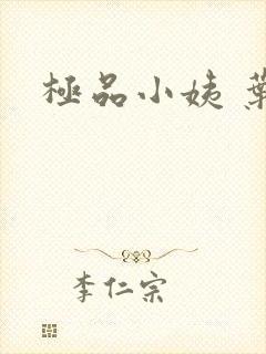 极品小姨 叶凡封面