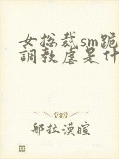 女总裁sm跪爬调教虐是什么封面