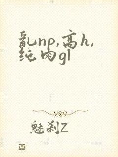 乱np,高h,纯肉gl