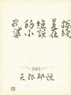 我的绝美总裁老婆小说在线阅读