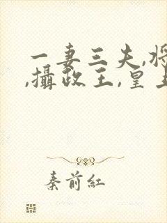 一妻三夫,将军,摄政王,皇上小说