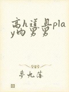 高h道具play肉男男