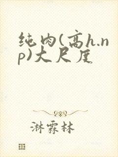 纯肉(高h.np)大尺度封面