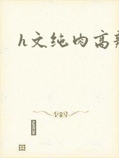h文纯肉高辣封面