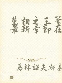 万相之王笔趣阁最新章节在线阅读