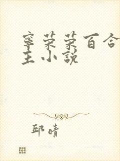 宁荣荣百合双女主小说封面