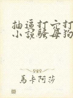 抽逼打穴打屁股小说骚母狗调教