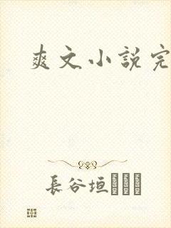 爽文小说完结文