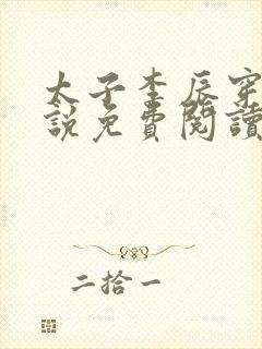 太子李辰穿越小说免费阅读封面