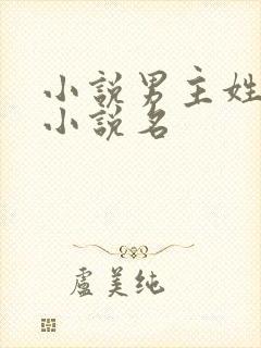 小说男主姓黑的小说名