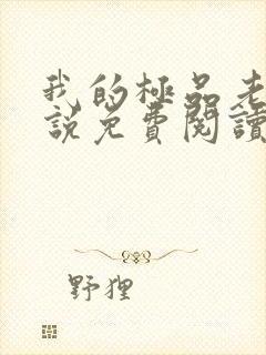 我的极品老婆小说免费阅读全文