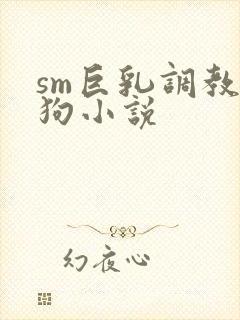 sm巨乳调教母狗小说封面