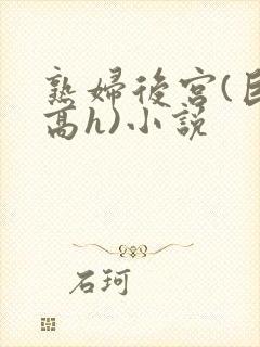 熟妇后宫(巨肉高h)小说封面