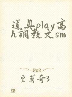 道具play高h调教文sm