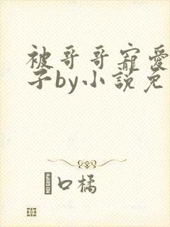 被哥哥宠爱的日子by小说免费阅读全文