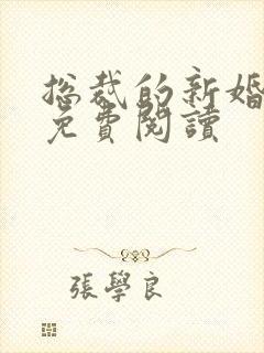 总裁的新婚罪婚免费阅读