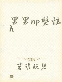 男男np双性高h