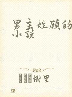 男主姓顾的总裁小说