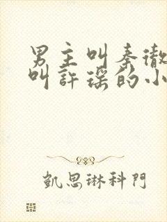 男主叫秦彻女主叫许瑶的小说