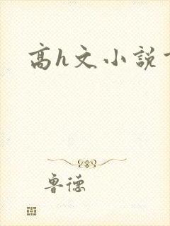 高h文小说重口封面