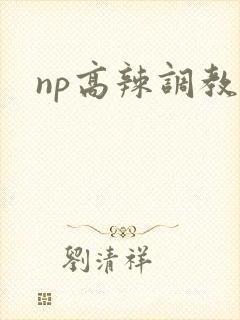 np高辣调教文