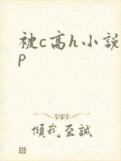 被c高h小说np