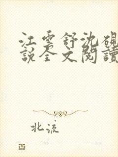 江云舒沈砚舟小说全文阅读封面