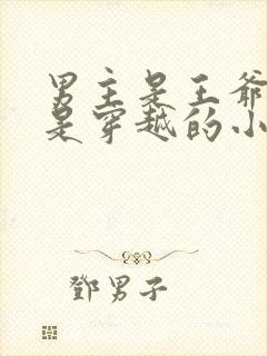 男主是王爷女主是穿越的小说