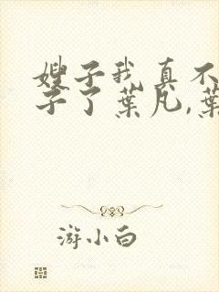 嫂子我真不是傻子了叶凡,叶凡封面