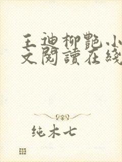 王迪柳艳小说全文阅读在线封面